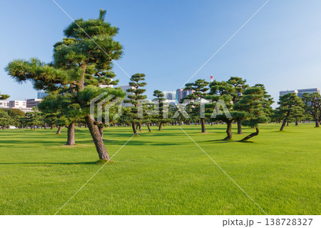 Tokyo Central Parks and Green Urban Spaces 138728327