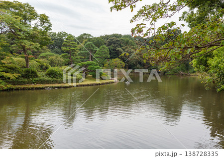 Tokyo Central Parks and Green Urban Spaces 138728335
