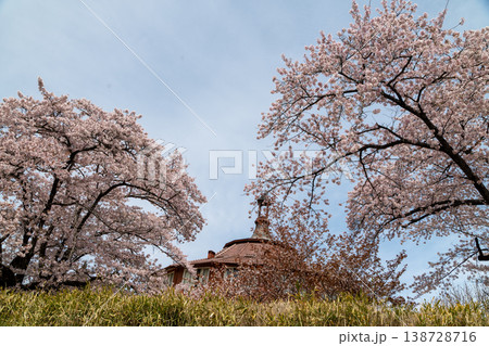 清春芸術村と桜 清春芸術村と桜 138728716