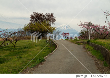 新府桃源郷の富士山 新府桃源郷の富士山 138728766