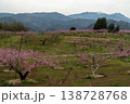 新府桃源郷の桃の花 138728768
