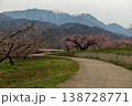 新府桃源郷の桃の花 138728771