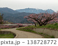 新府桃源郷の桃の花 138728772
