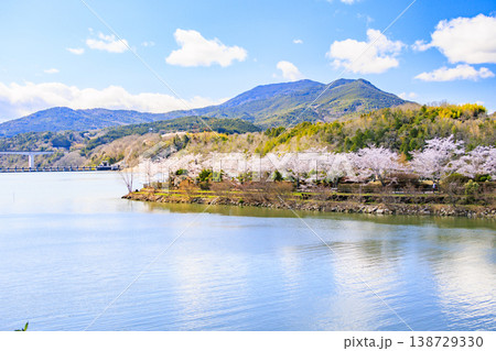 桜満開の恵那峡 桜満開の恵那峡 138729330