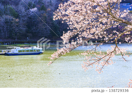 桜満開の恵那峡 桜満開の恵那峡 138729336
