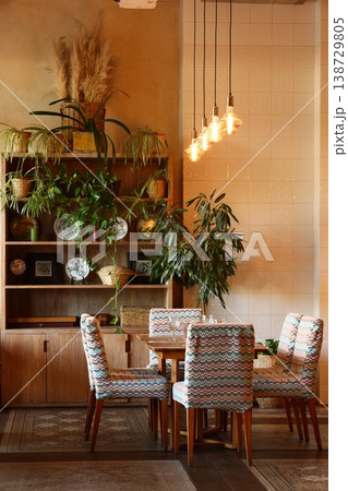 Decorative plant showcase. Plants and ceramics arrangement 138729805