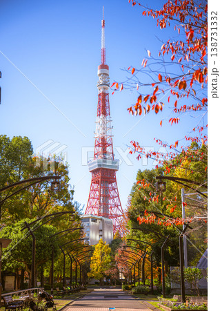 紅葉と青空に映える東京タワー 紅葉と青空に映える東京タワー 138731332