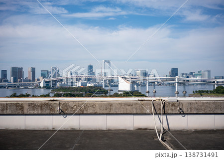 レインボーブリッジと東京湾岸の街並み レインボーブリッジと東京湾岸の街並み 138731491