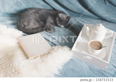 Cozy Home Scene With Cat Tea And Book Relaxing Lifestyle Cozy Home Scene With Cat Tea And Book Relaxing Lifestyle 138731513
