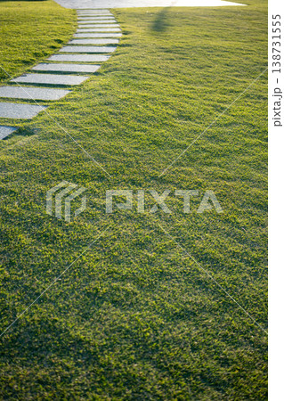 日差しの芝生と石畳の小道 日差しの芝生と石畳の小道 138731555