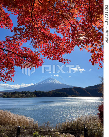 Mount Fuji rising above lake Kawaguchiko framed by autumn maple Mount Fuji rising above lake Kawaguchiko framed by autumn maple 138731862