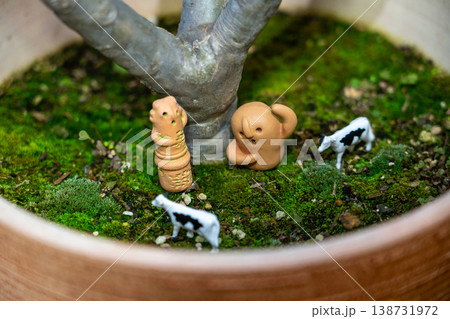 癒しの苔盆栽と小さな仲間 138731972