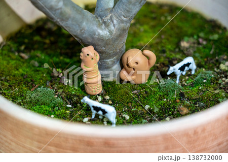 鉢に広がるミニチュアの苔庭 138732000