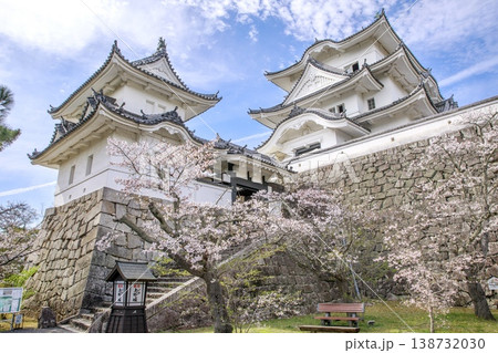 伊賀市、伊賀上野城の天守閣と満開の桜 伊賀市、伊賀上野城の天守閣と満開の桜 138732030