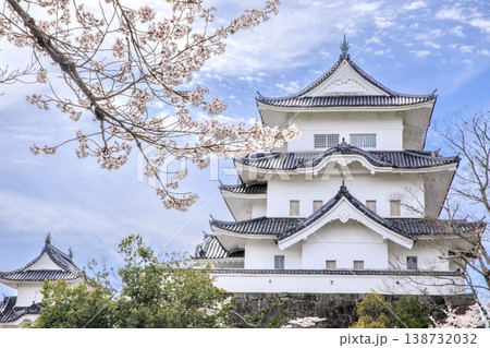 伊賀市、伊賀上野城の天守閣と満開の桜 伊賀市、伊賀上野城の天守閣と満開の桜 138732032