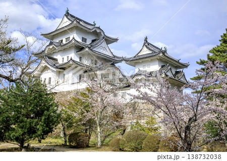 伊賀市、伊賀上野城の天守閣と満開の桜 伊賀市、伊賀上野城の天守閣と満開の桜 138732038