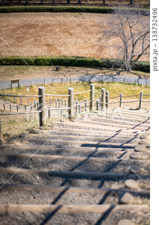 見下ろす公園の木製階段 138732496