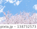 桜吹雪が青空に舞う春の爽やかな風景 138732573
