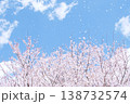桜吹雪が青空に舞う爽やかな春の風景 138732574