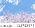 青空に桜吹雪が舞う爽やかな春の風景 138732575