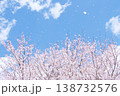 春の青空に桜吹雪が舞う爽やかな風景 138732576