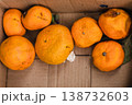 Rotten oranges and tangerines in a cardboard box 138732603