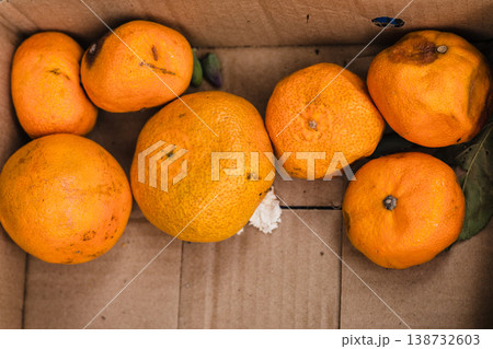 Rotten oranges and tangerines in a cardboard box 138732603