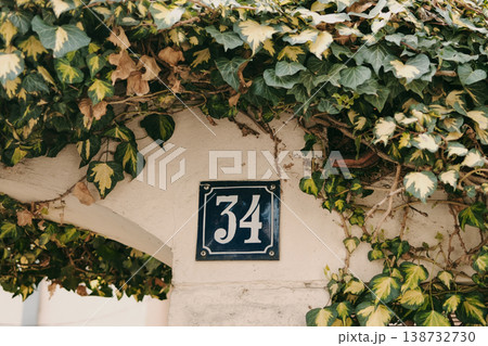 House 34 number sign on wall covered with green ivy leaves in natural light. Perfect for address concept, residential design, navigation and urban lifestyle themes House 34 number sign on wall covered with green ivy leaves in natural light. Perfect for address concept, residential design, navigation and urban lifestyle themes 138732730