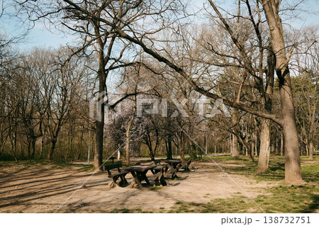 Empty picnic area with wooden tables in spring park surrounded by blooming trees and soft sunlight. Perfect for outdoor lifestyle, relaxation themes, travel content and seasonal advertising visuals Empty picnic area with wooden tables in spring park surrounded by blooming trees and soft sunlight. Perfect for outdoor lifestyle, relaxation themes, travel content and seasonal advertising visuals 138732751