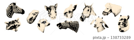 Animals heads halftone art collage cut out elements set Horse, goat and raccoon, pig, llama and iguana, rabbit and meerkat Pet, domestic, farm and wild animal stickers Modern retro vector illustration Animals heads halftone art collage cut out elements set Horse, goat and raccoon, pig, llama and iguana, rabbit and meerkat Pet, domestic, farm and wild animal stickers Modern retro vector illustration 138733289
