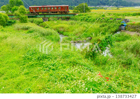 夏草が繁茂する細見川を渡る若桜鉄道のレトロな気動車 夏草が繁茂する細見川を渡る若桜鉄道のレトロな気動車 138733427