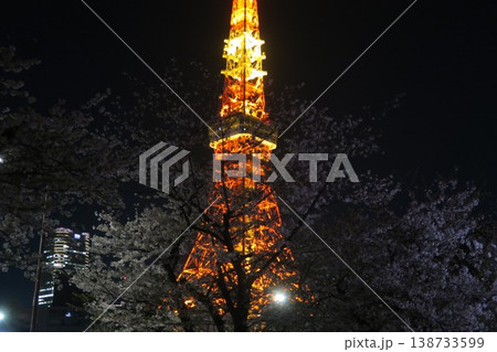 ライトアップされた夜の芝公園から見える美しい夜桜とタワー ライトアップされた夜の芝公園から見える美しい夜桜とタワー 138733599