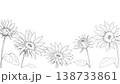 レトロなひまわりの線画の背景 138733861