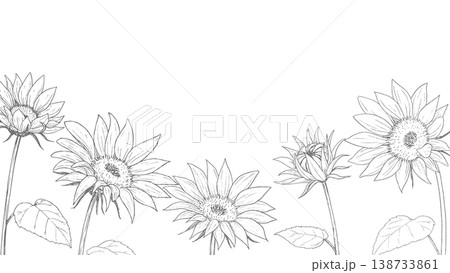 レトロなひまわりの線画の背景 138733861
