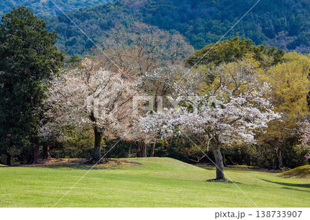 奈良県飛火野春の世界自然遺産 138733907