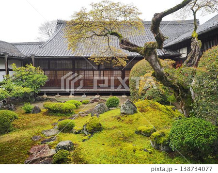 醍醐寺 醍醐寺 138734077