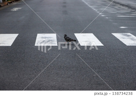 横断歩道 イメージ 横断歩道 イメージ 138734238