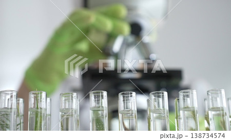 Close up of test tubes with a scientist analyzing plant samples in test tubes with a microscope, conducting research in a laboratory. Medicine, healthcare and science concept Close up of test tubes with a scientist analyzing plant samples in test tubes with a microscope, conducting research in a laboratory. Medicine, healthcare and science concept 138734574
