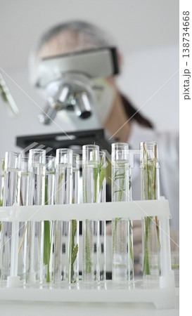 Close up of test tubes with a scientist analyzing plant samples in test tubes with a microscope, conducting research in a laboratory. Medicine, healthcare and science concept 138734668