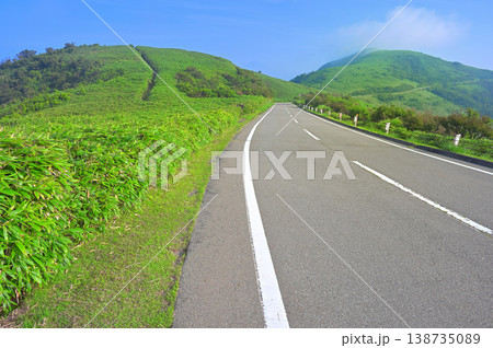 伊豆半島 伊豆山稜線歩道 西伊豆スカイラインと達磨山 伊豆半島 伊豆山稜線歩道 西伊豆スカイラインと達磨山 138735089