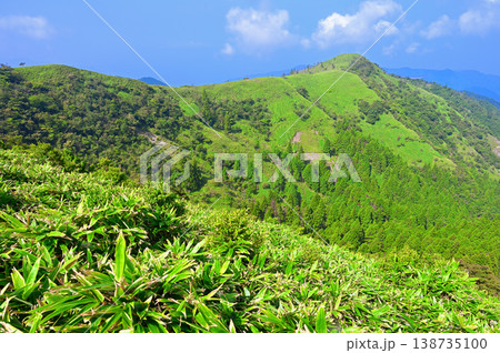 伊豆半島の伊豆山稜線歩道　古稀山より夏の緑の山地 138735100