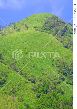 伊豆半島の伊豆山稜線歩道 古稀山より夏の緑の山地 伊豆半島の伊豆山稜線歩道 古稀山より夏の緑の山地 138735101