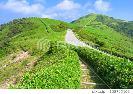 伊豆半島の伊豆山稜線歩道 草原の尾根 古稀山より達磨山を望む 伊豆半島の伊豆山稜線歩道 草原の尾根 古稀山より達磨山を望む 138735102