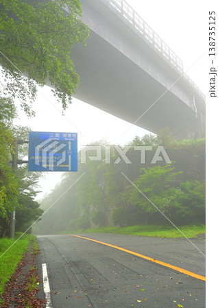 伊豆半島の伊豆山稜線歩道　静岡県道411号西天城高原線の陸橋下の船原峠 138735125