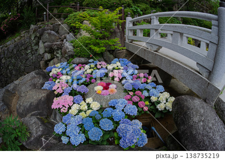 奈良県明日香村にある西国七番札所岡寺の紫陽花を撮影したもの 138735219