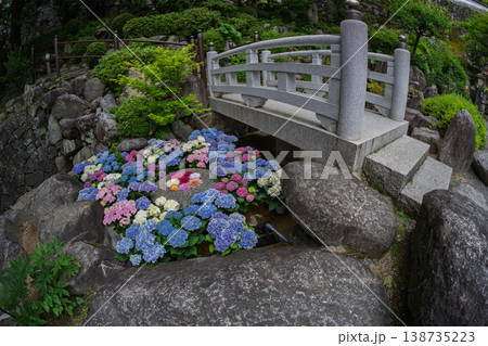 奈良県明日香村にある西国七番札所岡寺の紫陽花を撮影したもの 138735223