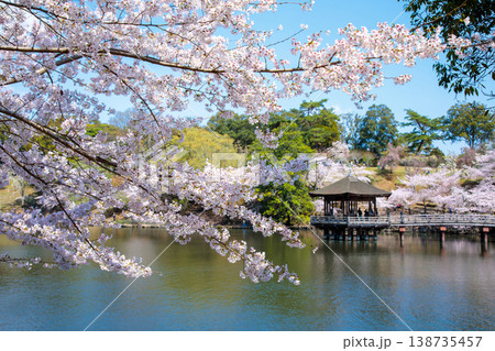 桜咲く奈良浮見堂の春 138735457