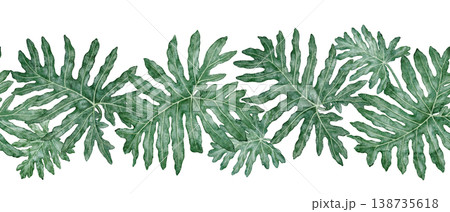 Tropical leaves seamless border of Philodendron Selloum watercolor botanical illustration. Hand drawn green foliage template with realistic plant texture. Nature indoor shrub garland for card design. Tropical leaves seamless border of Philodendron Selloum watercolor botanical illustration. Hand drawn green foliage template with realistic plant texture. Nature indoor shrub garland for card design. 138735618
