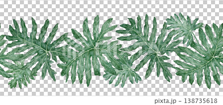 Tropical leaves seamless border of Philodendron Selloum watercolor botanical illustration. Hand drawn green foliage template with realistic plant texture. Nature indoor shrub garland for card design. Tropical leaves seamless border of Philodendron Selloum watercolor botanical illustration. Hand drawn green foliage template with realistic plant texture. Nature indoor shrub garland for card design. 138735618