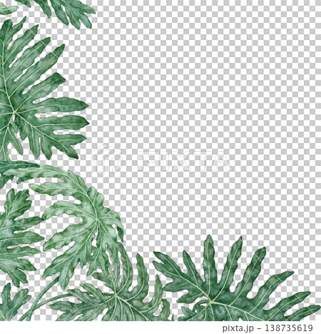 Tropical leaves square frame Philodendron Selloum watercolor botanical illustration. Hand drawn green foliage texture with copy space. Floral nature design for garden card decorative template. Tropical leaves square frame Philodendron Selloum watercolor botanical illustration. Hand drawn green foliage texture with copy space. Floral nature design for garden card decorative template. 138735619